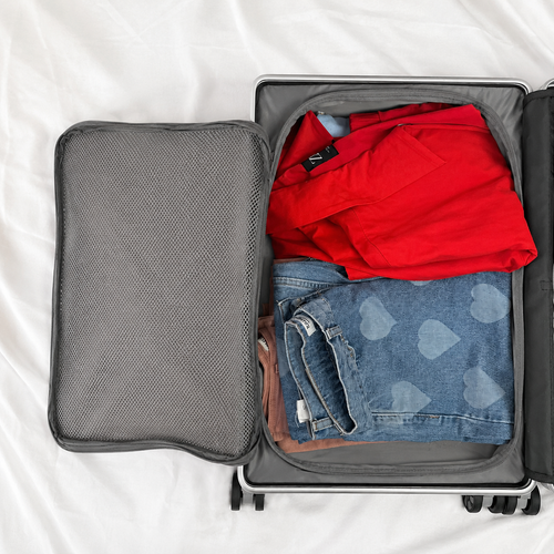 the original packing cube system — clear grey